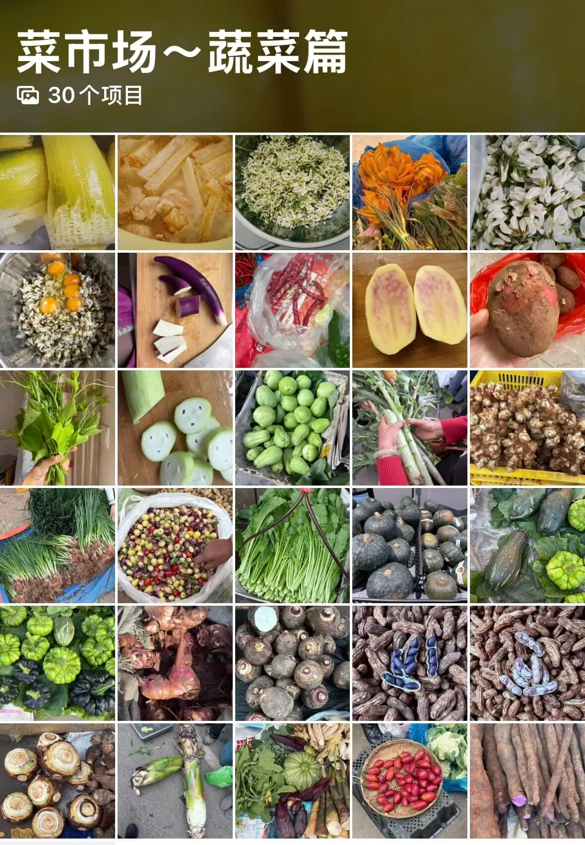 云南菜市场博物志2025（蔬菜篇）