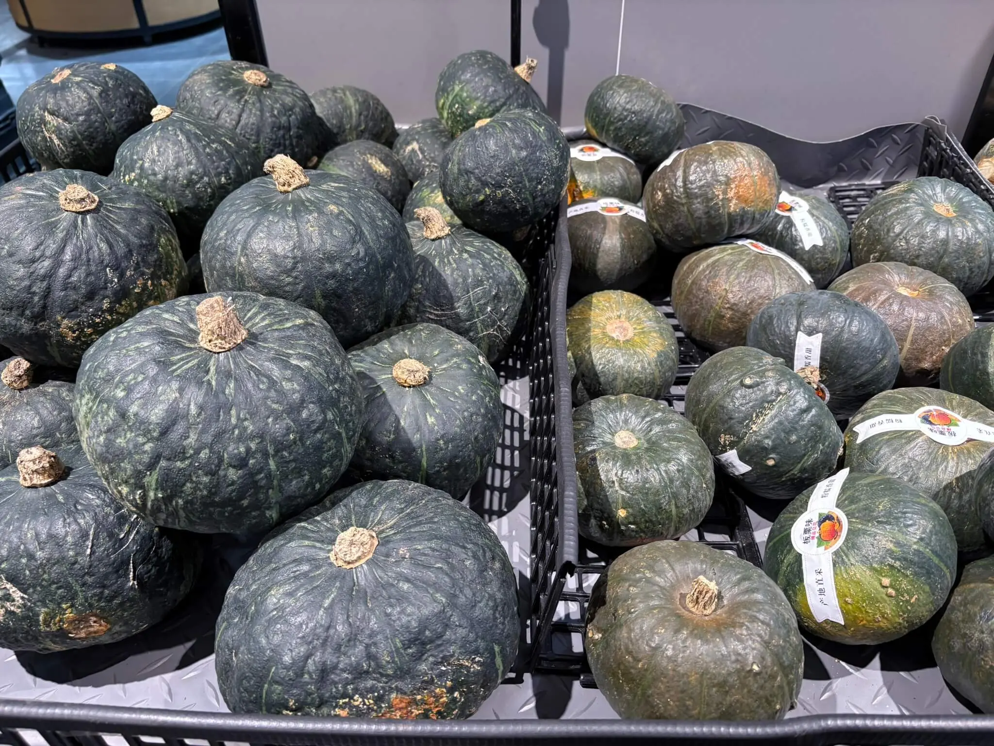 15-贝贝南瓜-IMG_5566