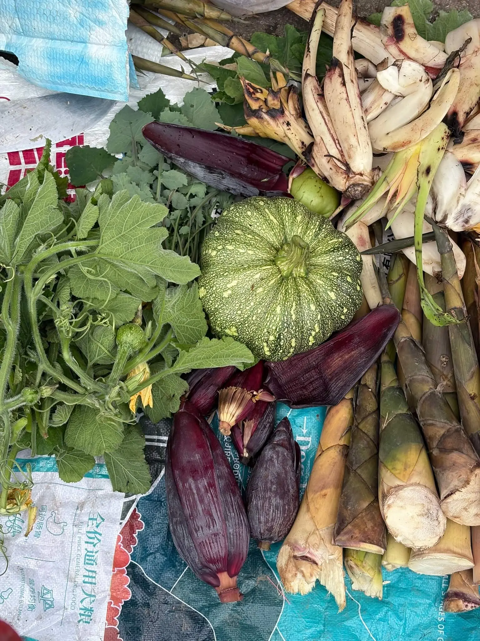 17-芭蕉花-IMG_6624