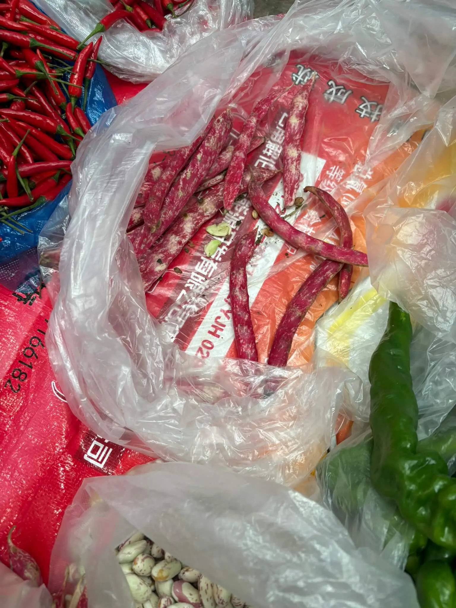 5-家雀蛋油豆-IMG_1221