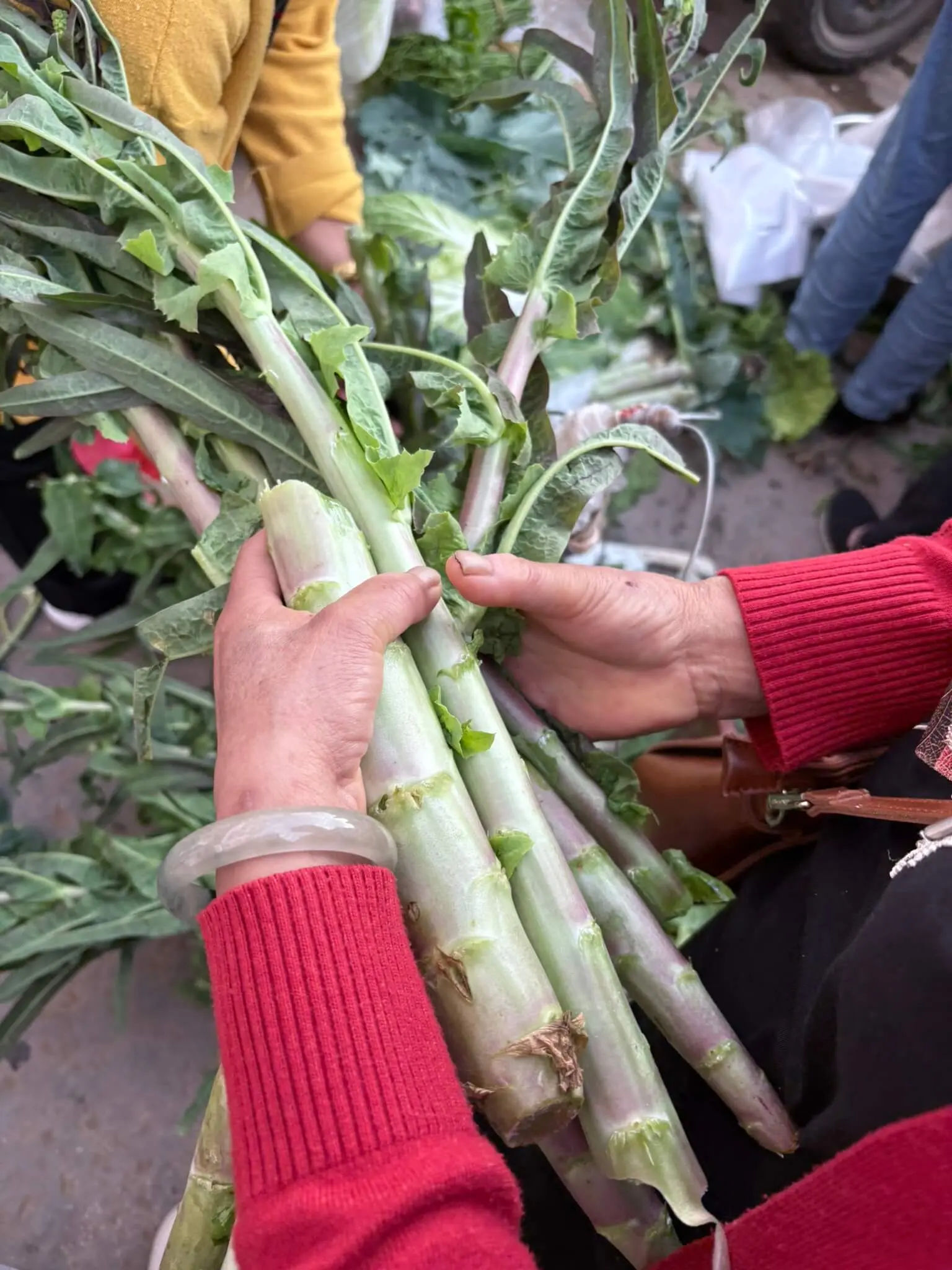 9-香莴笋-IMG_4804