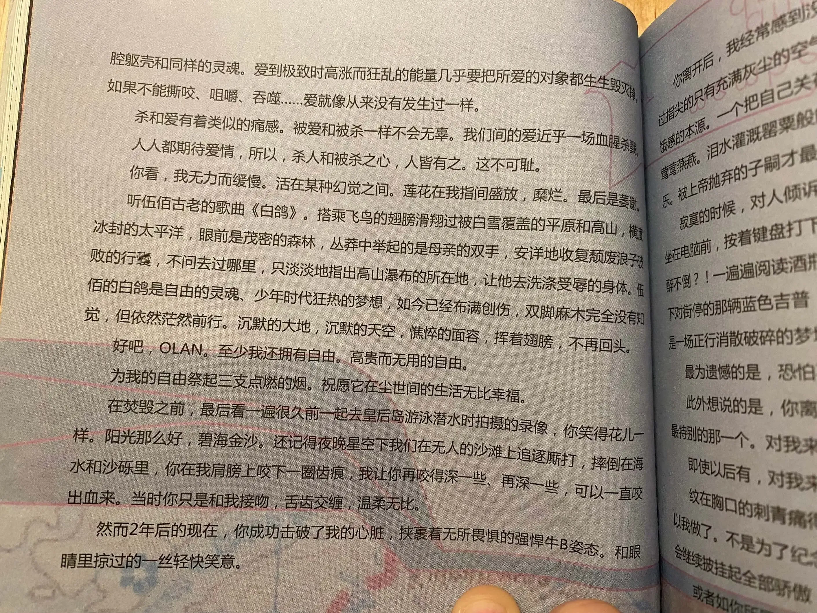 一条悲伤的小飞鱼2