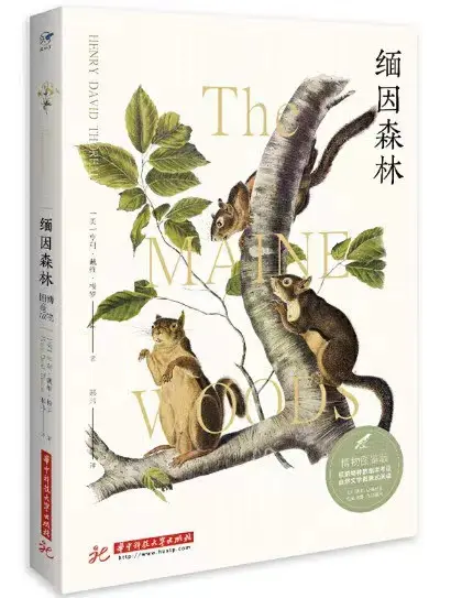 《缅因森林》
