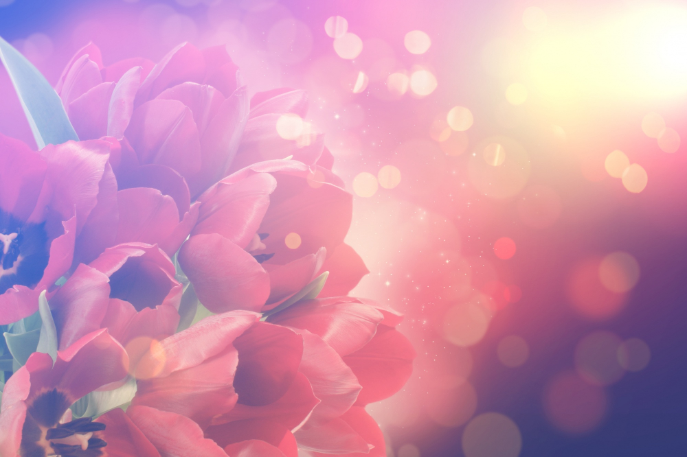 MySQL57-在线安装