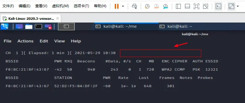 image-20210529223055505
