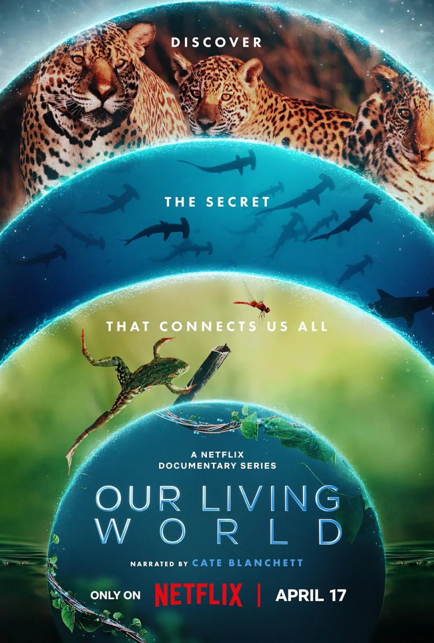 我们的生物世界 Our Living World (2024) 4K 单集/6G 全4集  [内挂中文字幕] [26.3GB] 【来源：赤道365论坛】 帖子ID:47277 OurLivingWorld,4K,字幕,生物