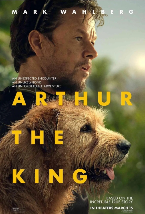 冠军亚瑟[中英特效字幕]Arthur.the.King.2024.BD1080P.X265.10Bit.AC3.DDP5.1.English.PGS-CHS-ENG.JKYY[4.4G][百度/夸克]-盘宝库 - 优质网盘资源分享社区 | 夸克迅雷百度云盘资源大全