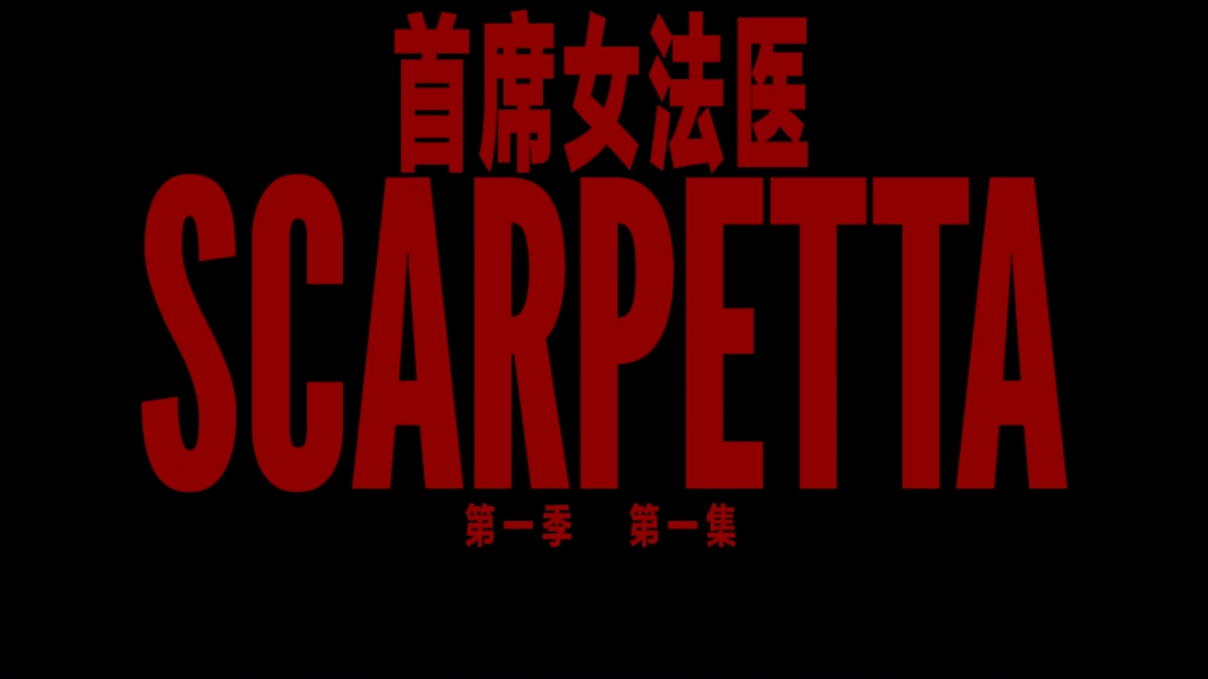 首席女法医 第一季 [全08集][精校中文字幕]Scarpetta.S01.HD1080P.X265.10Bit.AC3.DDP5.1.English.CHS-ENG[12G][百度/夸克]-盘宝库 - 优质网盘资源分享社区 | 夸克迅雷百度云盘资源大全